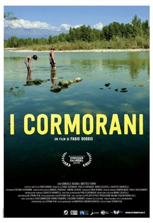 The Cormorants