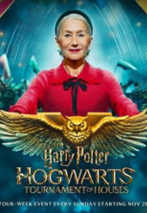 Harry Potter: Hogwarts Tournament of Houses