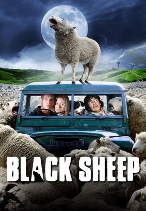 Black Sheep