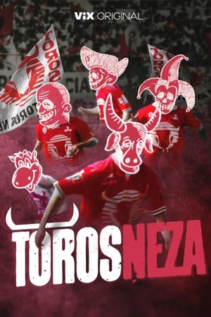 Toros Neza