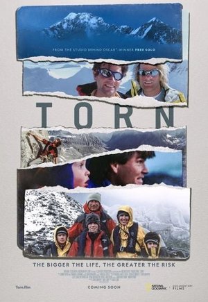 Torn