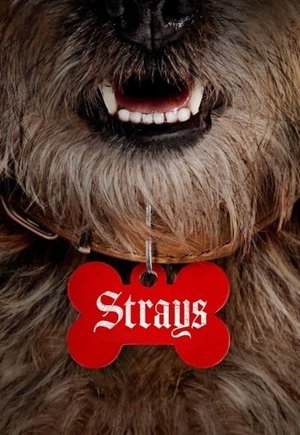 Strays