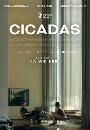 Cicadas