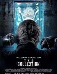 The Collection